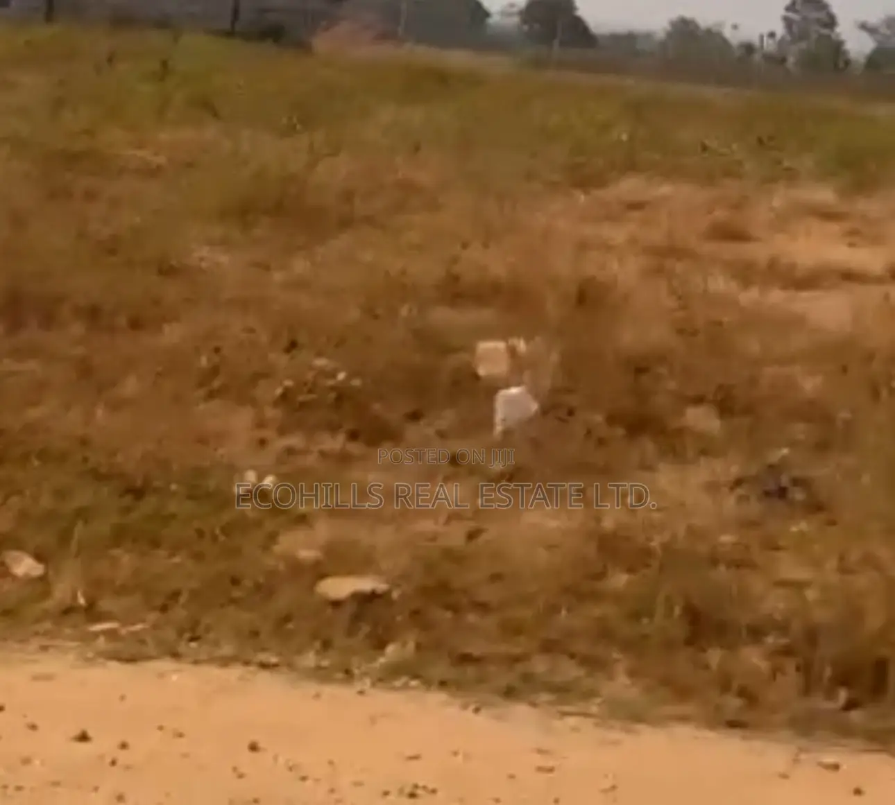 1700sqm Land for Sale