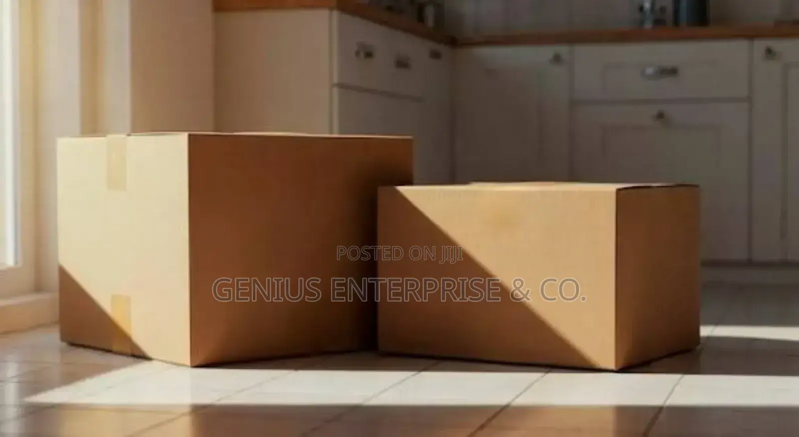 Relocation Carton Boxes. (Box Empire)
