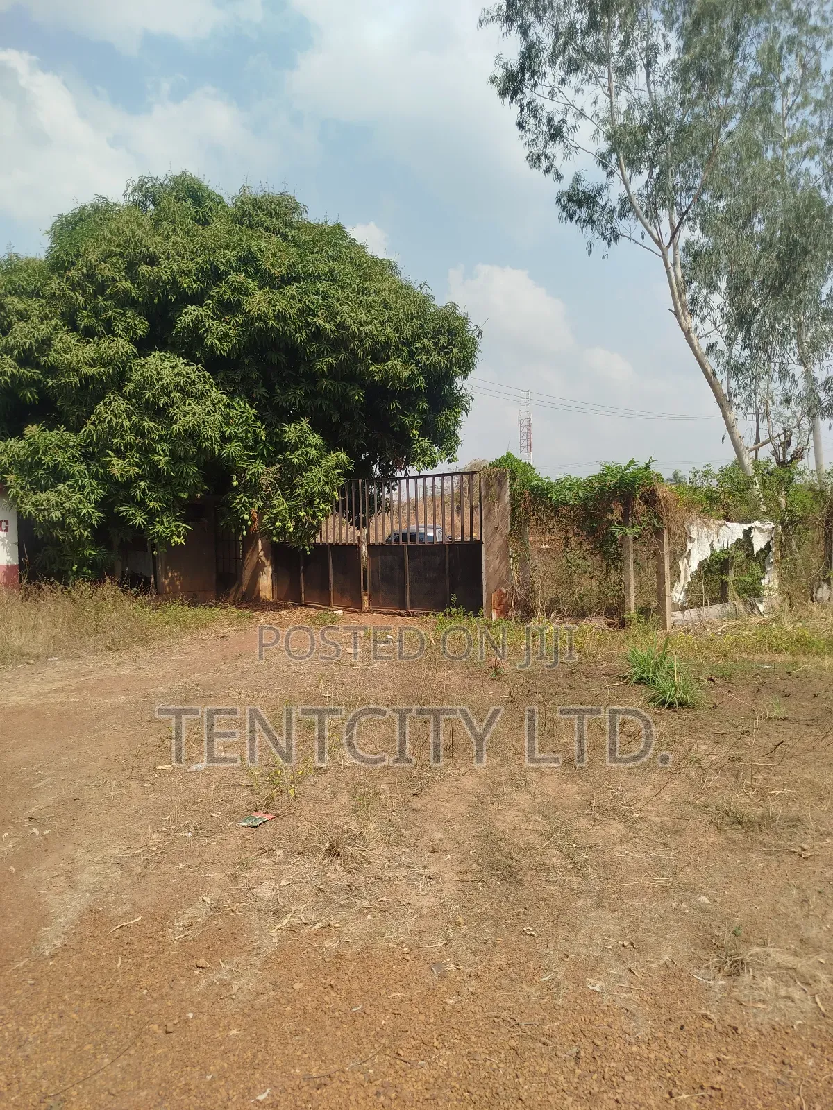 1000 Plots With C of O (7 Poles 4rm Enu-Ai Expressway), Emene