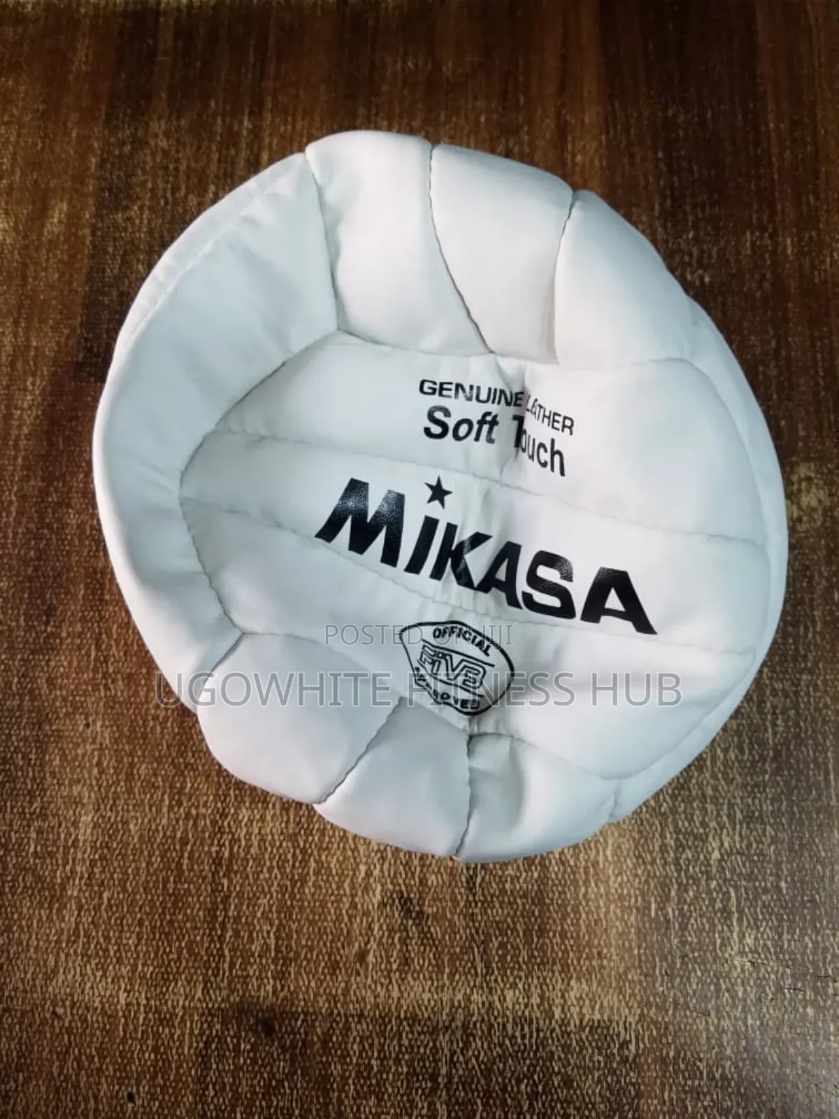 Mikasa Volleyball