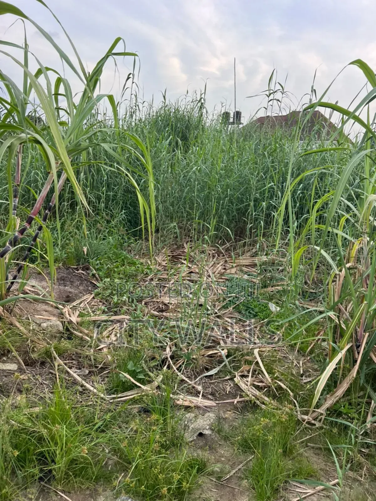 Land for Sale at Ado