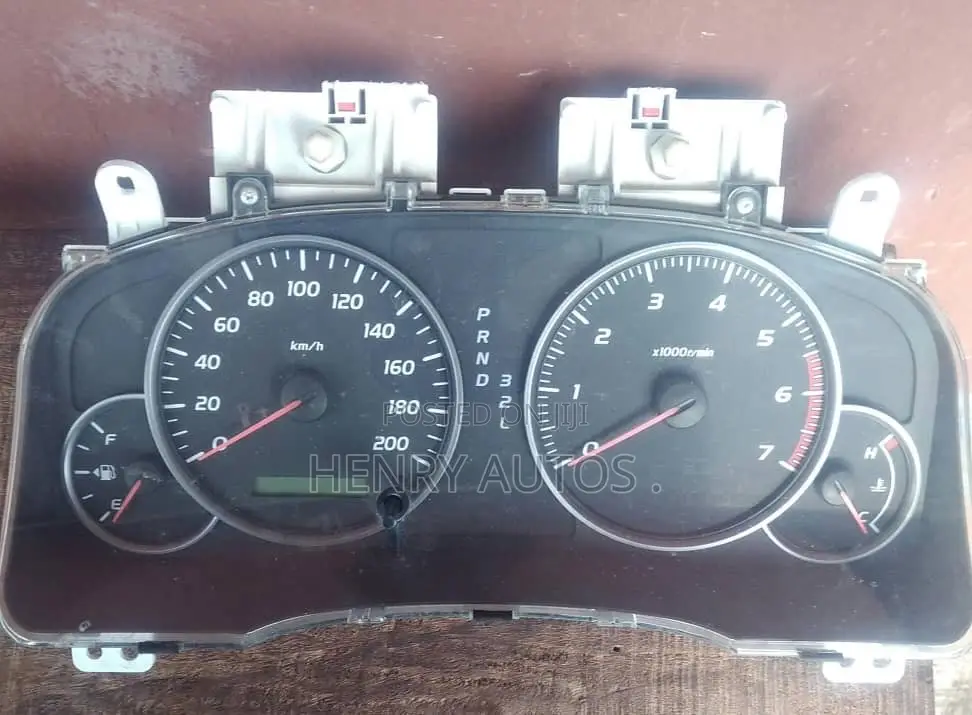 Speed Clock Pardo 2005