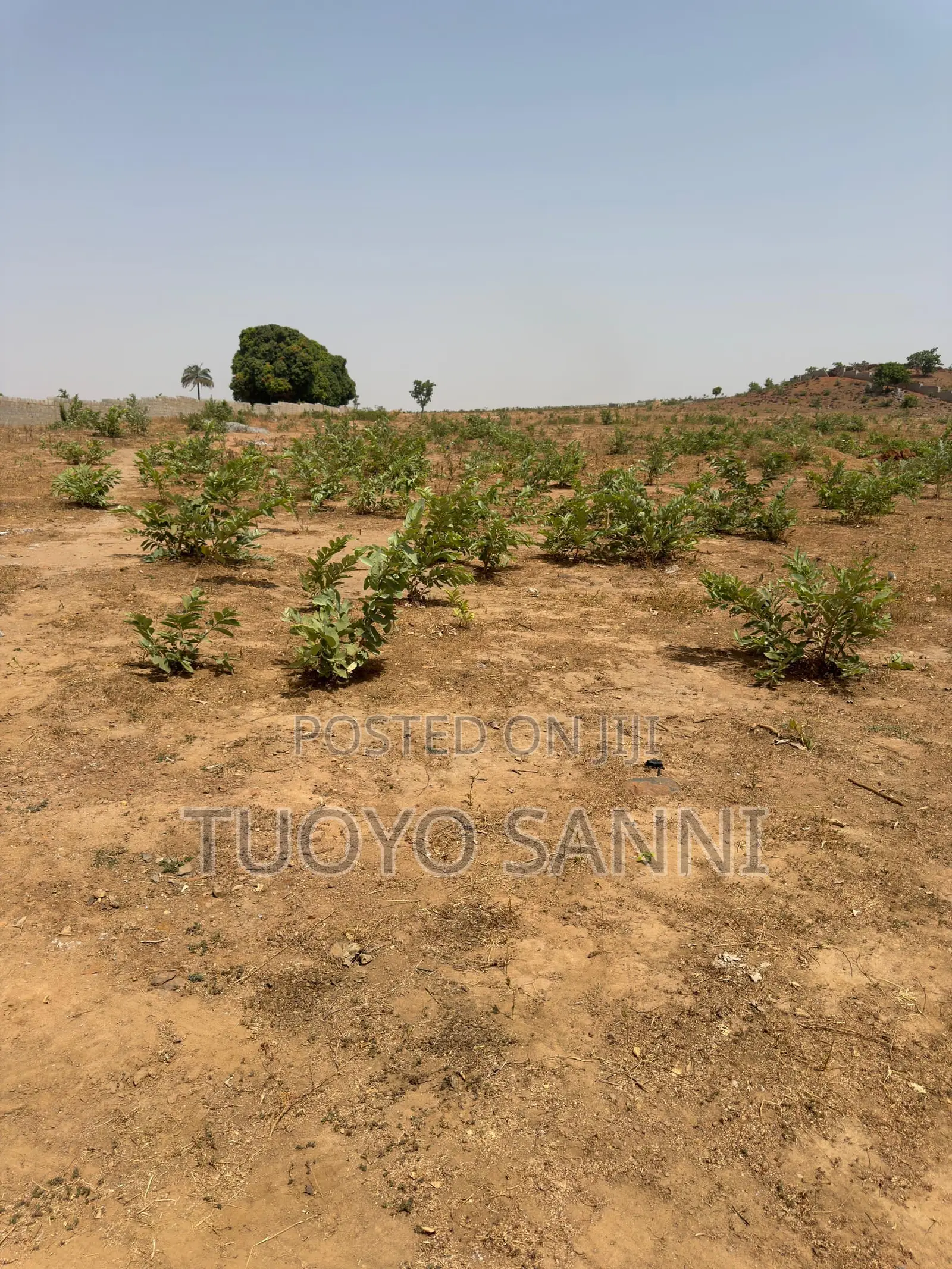 HUTU 1000sqm Land 3 Bedroom Block of Flats (6 Units) at Terra Verde4