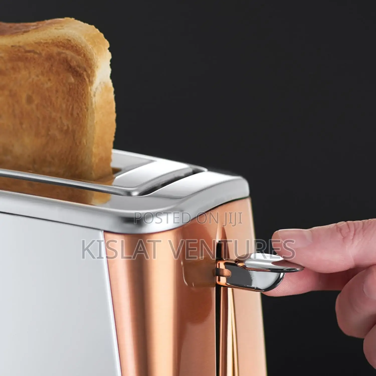 Russell Hobbs Long Slot 2 Slice Luna Toaster