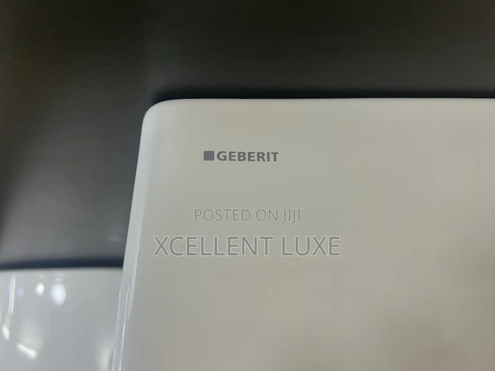 Geberit Wall Hung Wash Hand Basin With Suspended Pedestal