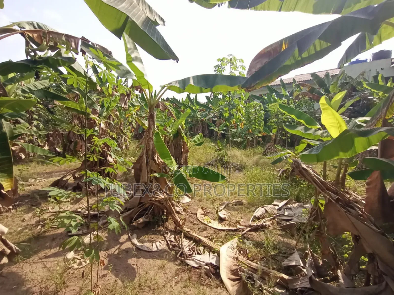 Acres of Land at Obafemi Adegbokan Village