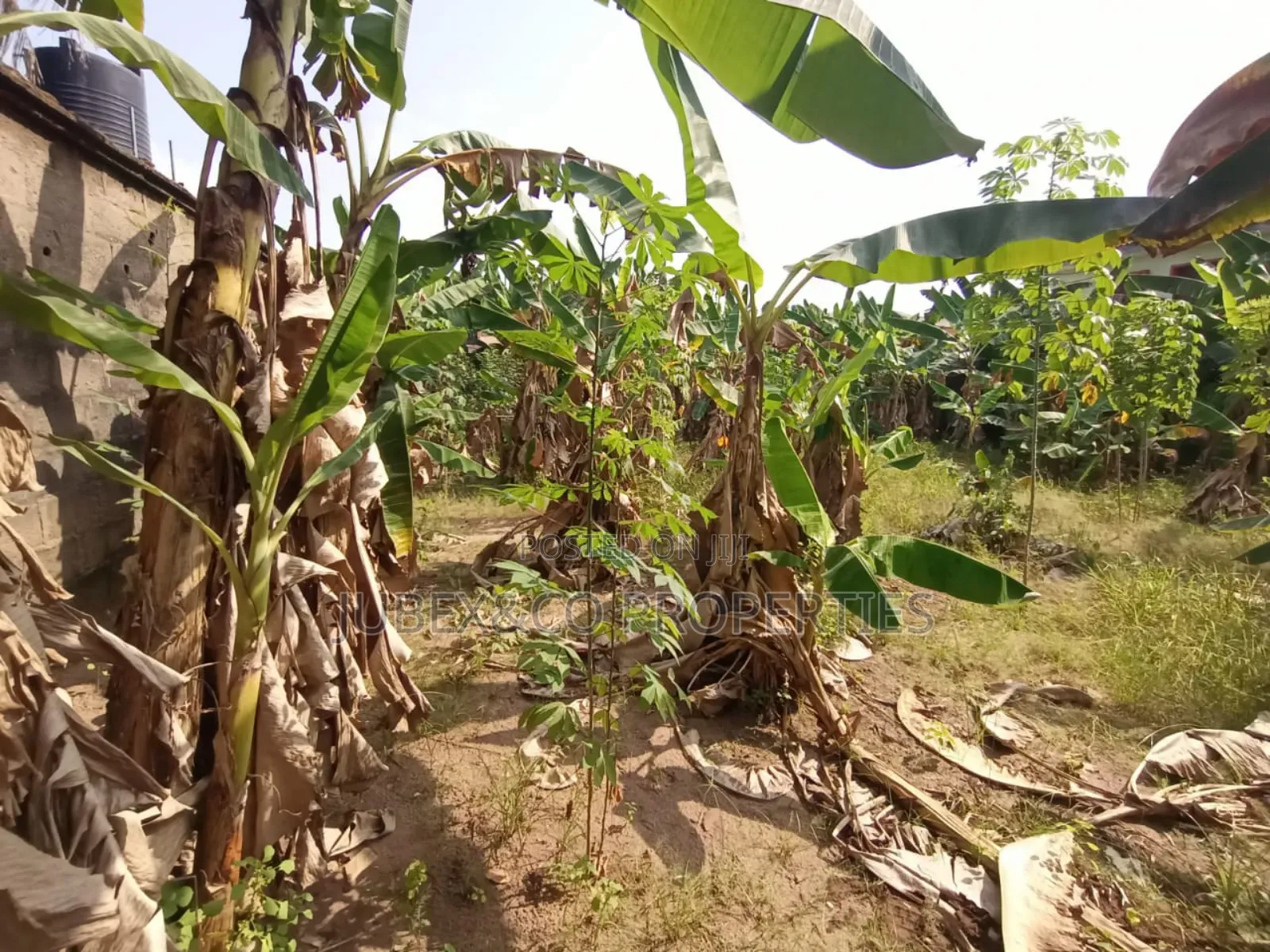 Acres of Land at Obafemi Adegbokan Village