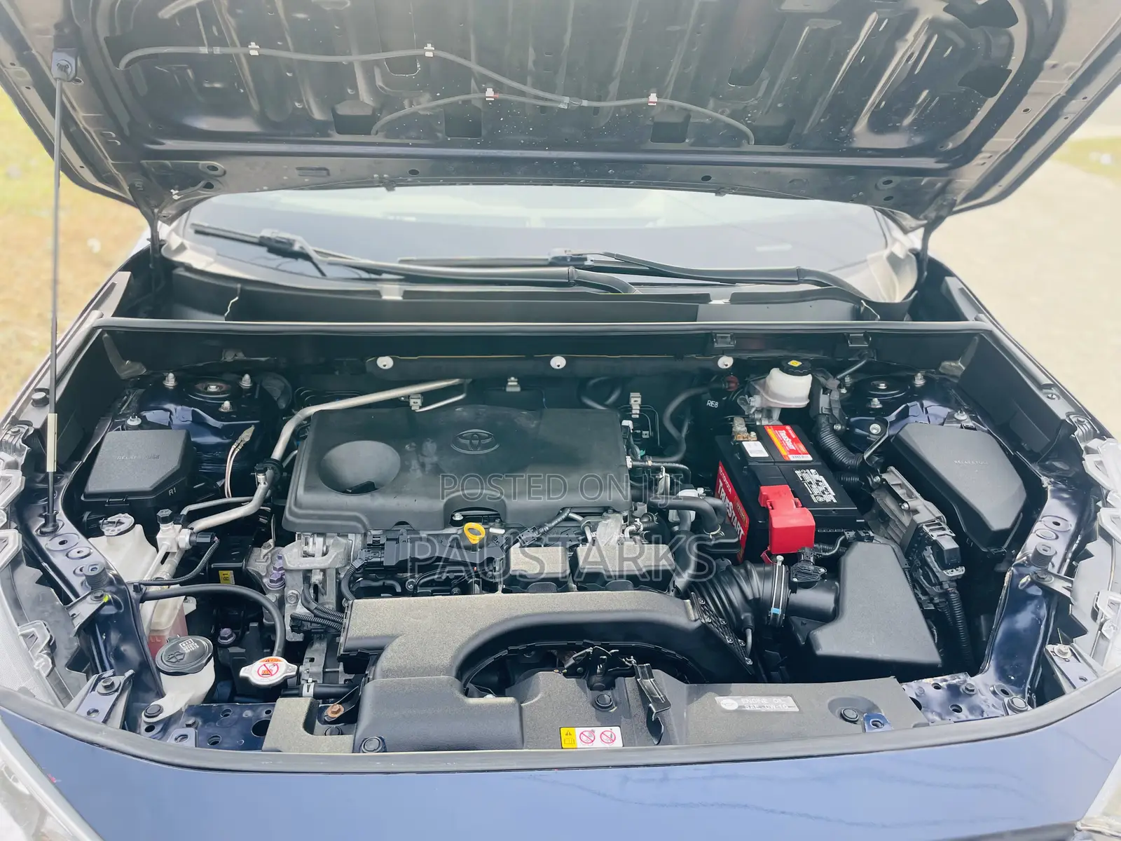 Toyota Highlander XLE 2019 Blue