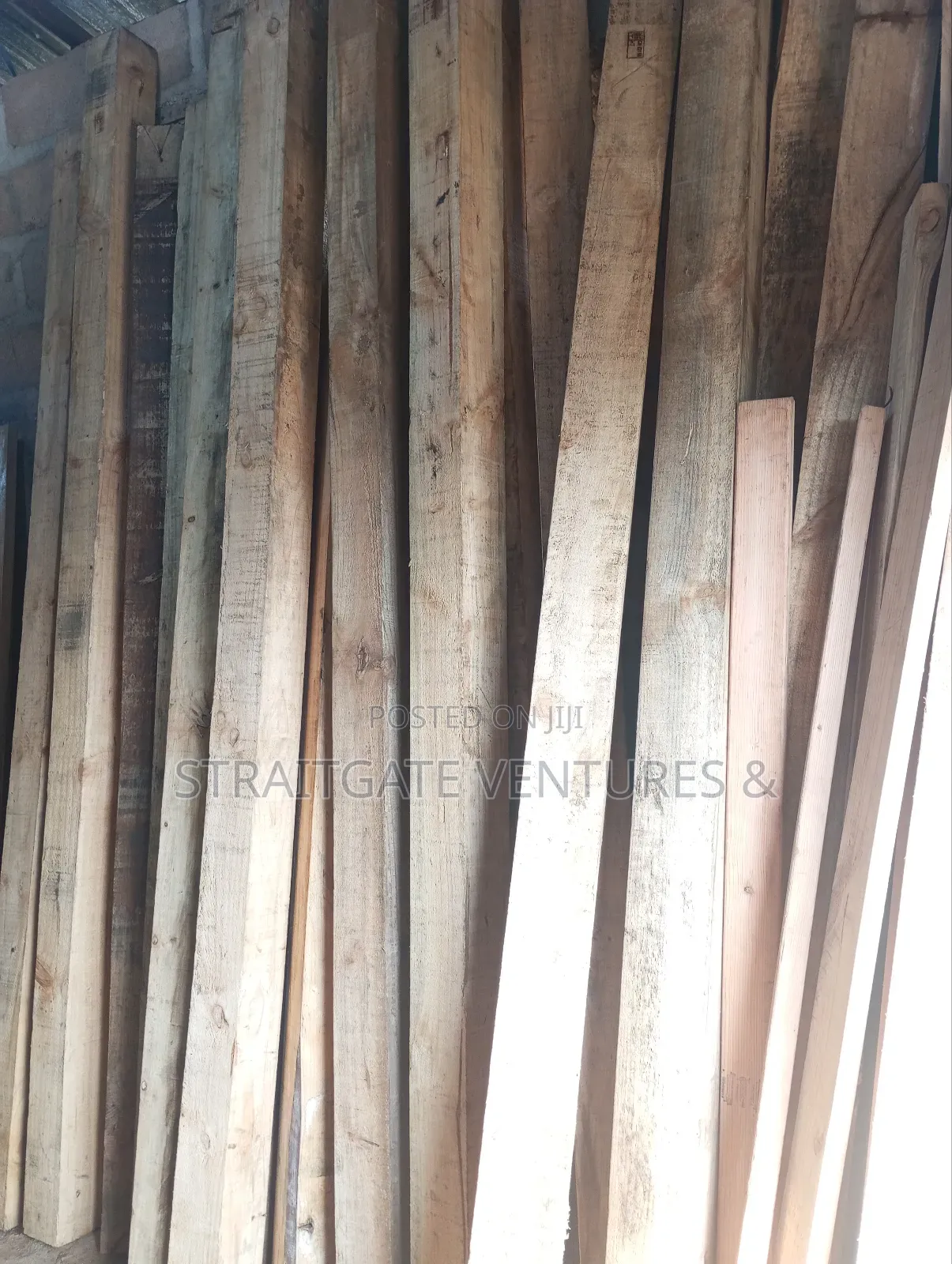 Pine Woods Species (Foreign Woods)