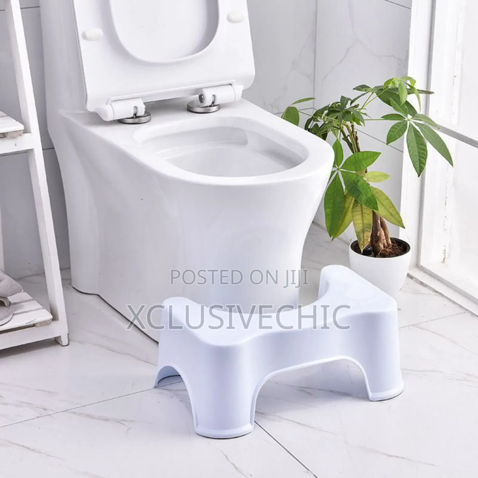 Potty Stool With Phone Slot