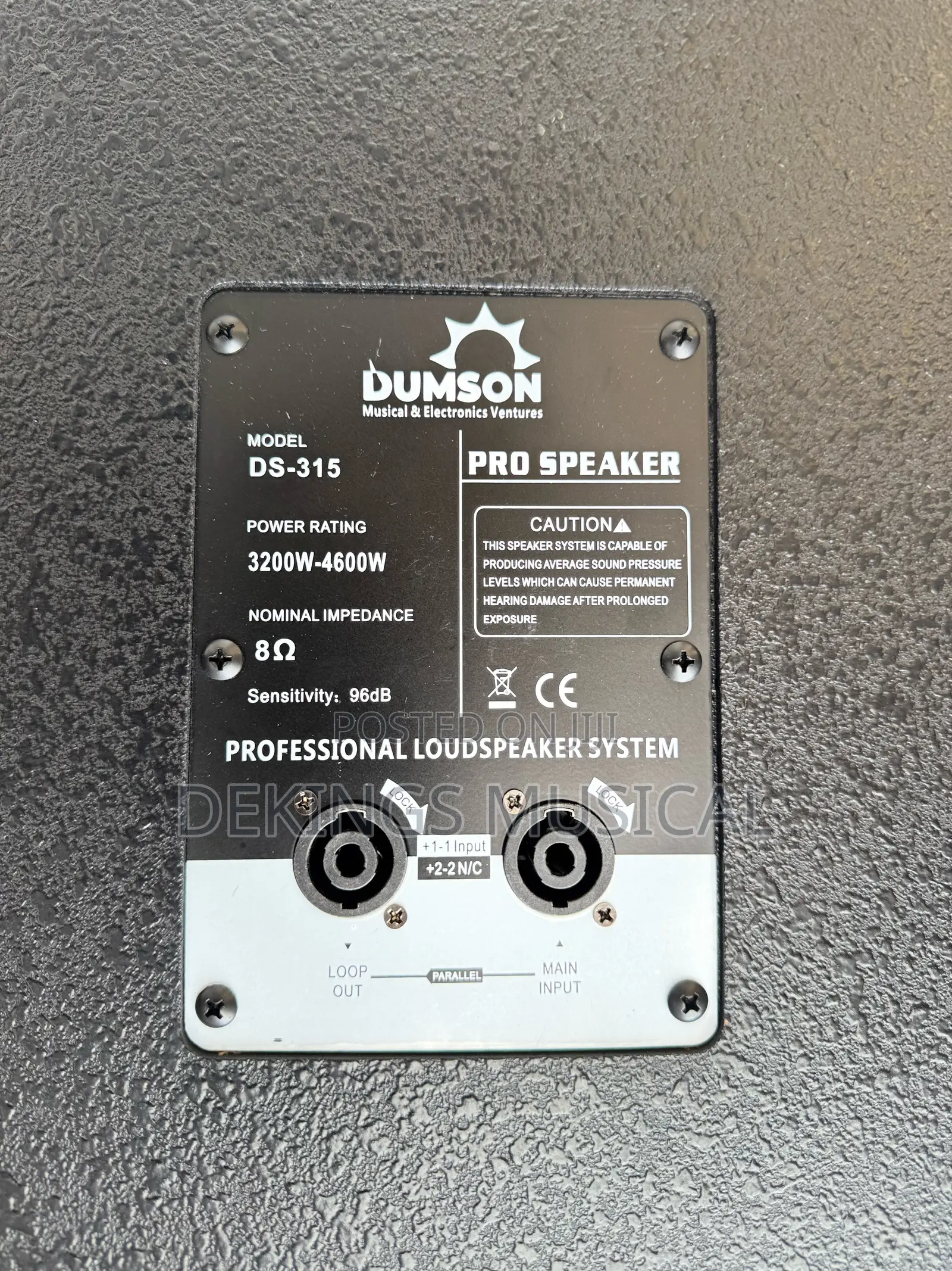Dumson Ds-315 Dual 15-Inch High-Output Dj Loud-Speaker