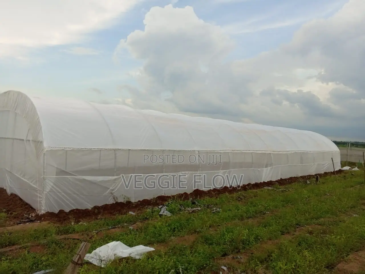 Greenhouse With Solarig Cover (Polytunnel)