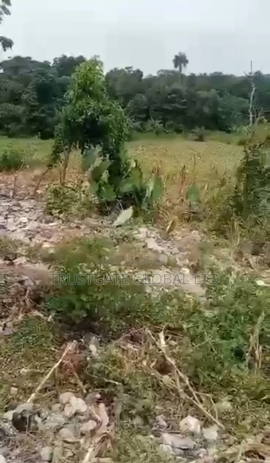 Commercial Land in Abuja for Sale