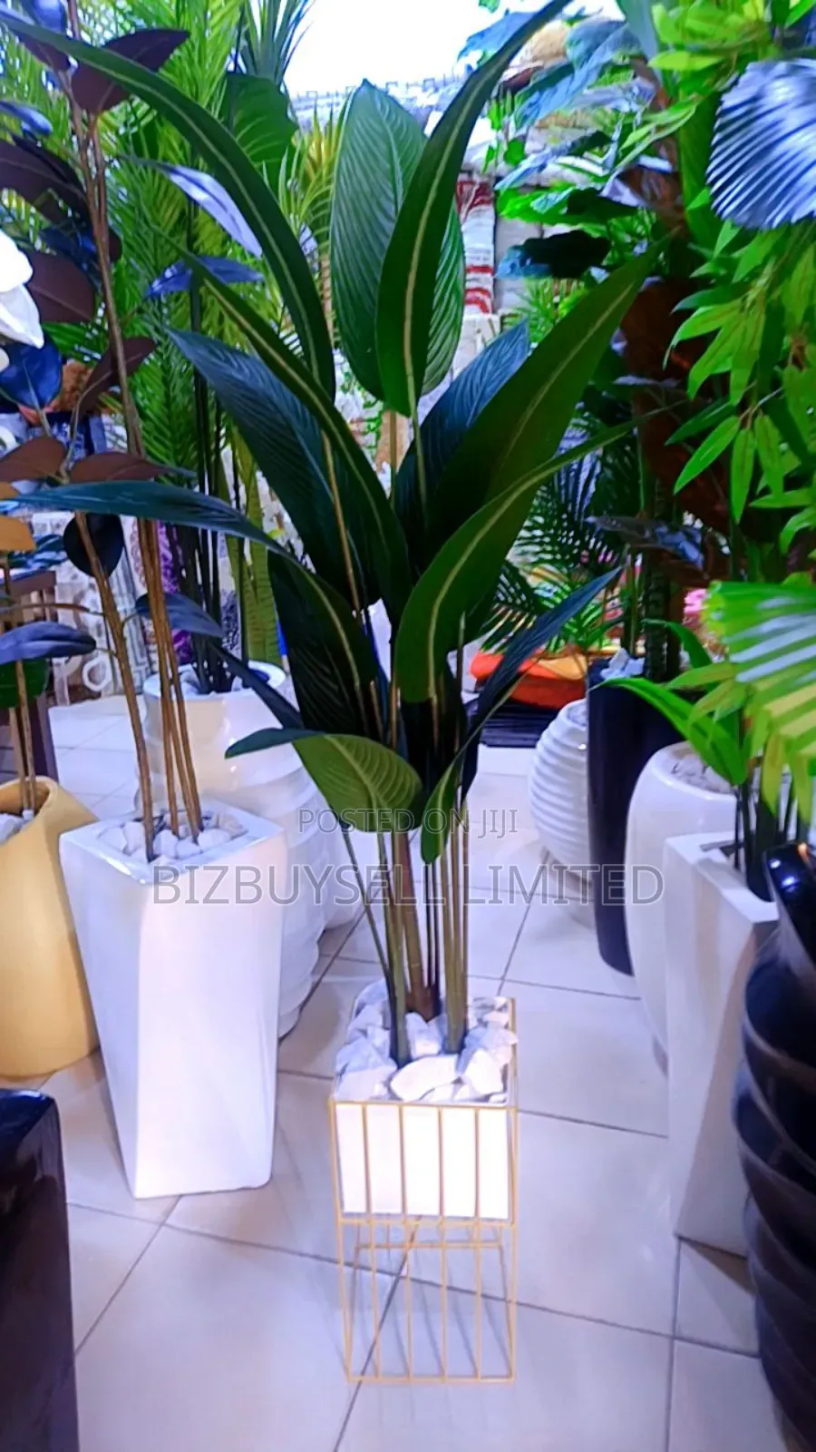 Indoor Flower And Vase