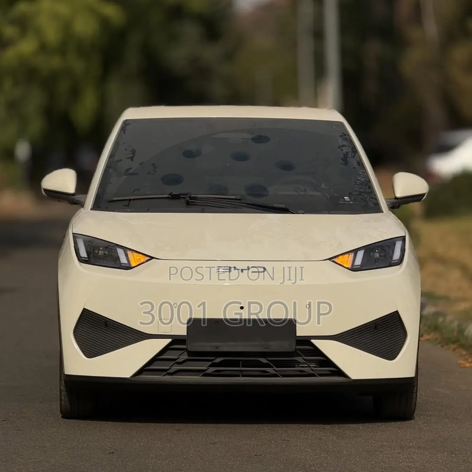 New BYD Seagull 2025 White