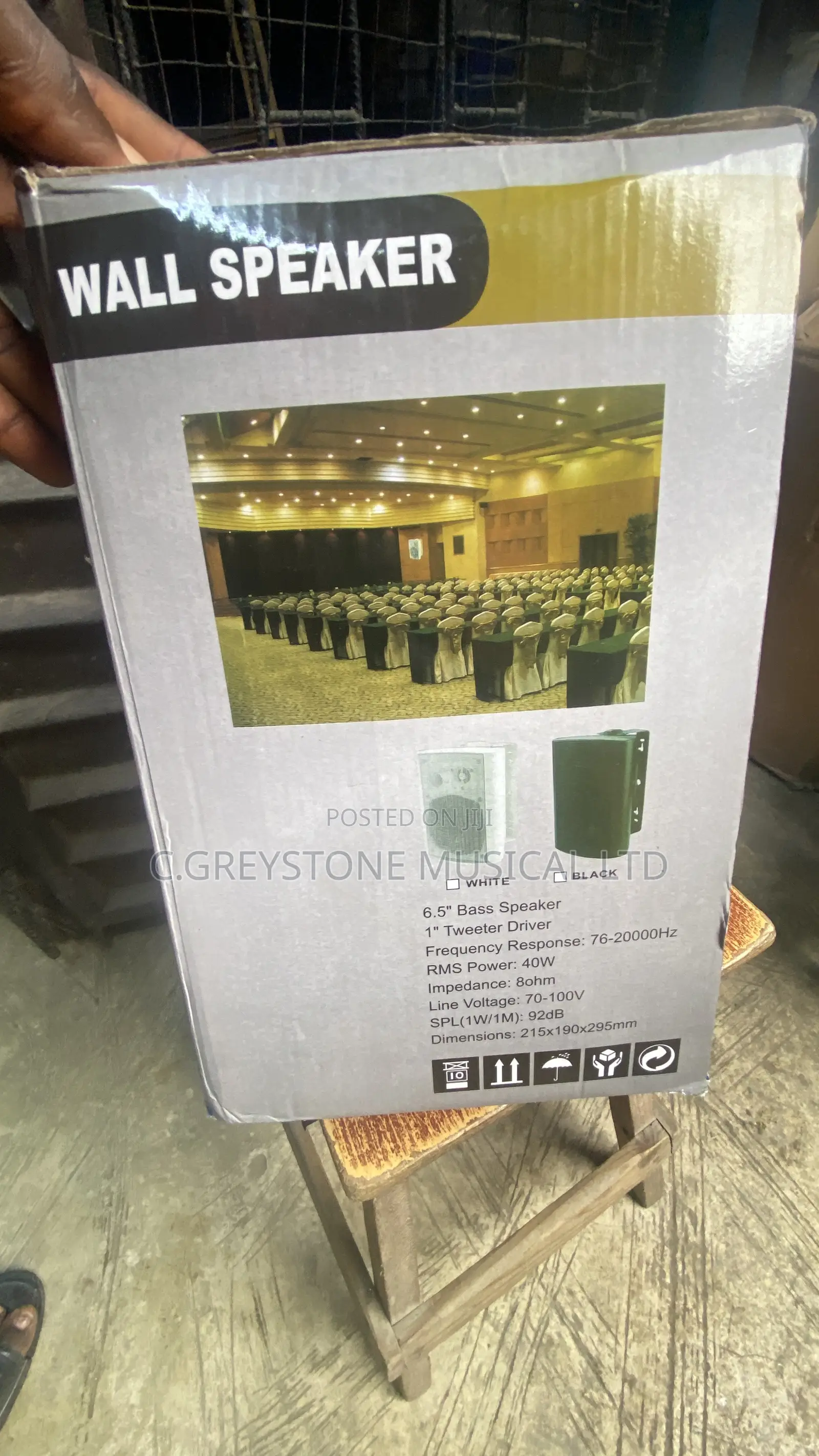 Acoustic Indoor and Outdoor Wall Speakers Ft 208b