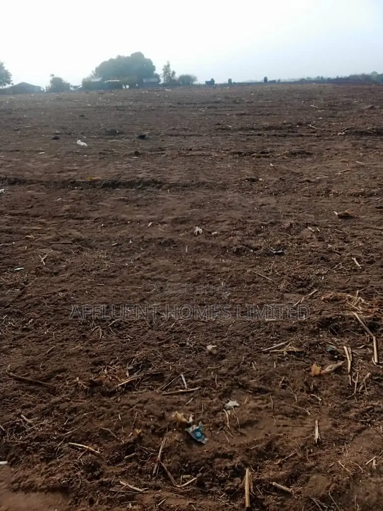 600sqm of Estate Residential Land for 5 Bedrm Duplex in Maitama 2