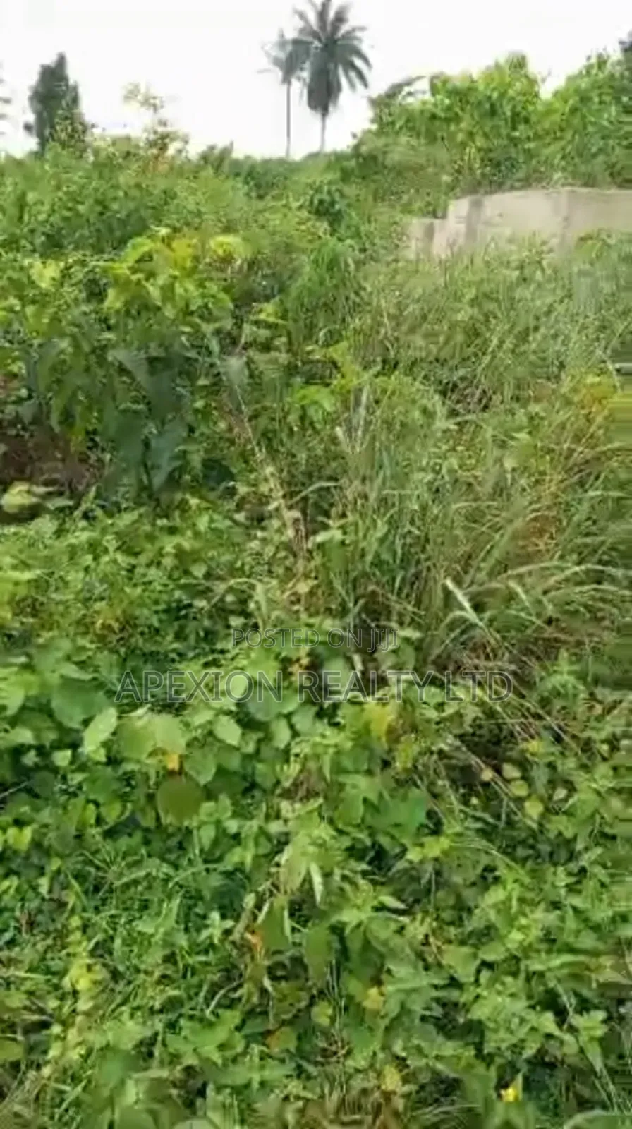 Land for Sale