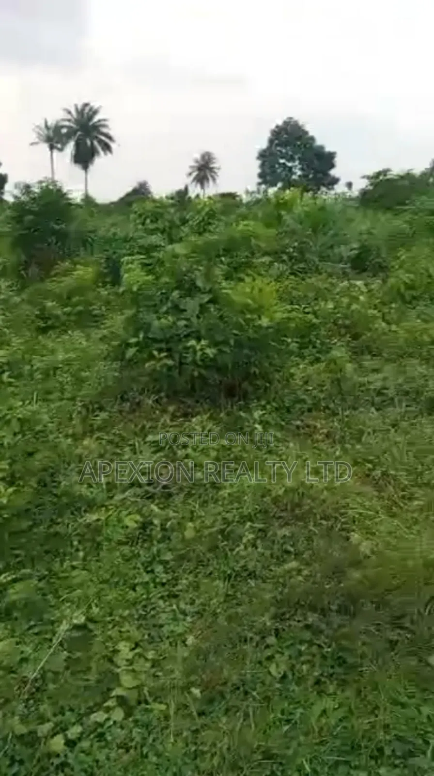 Land for Sale