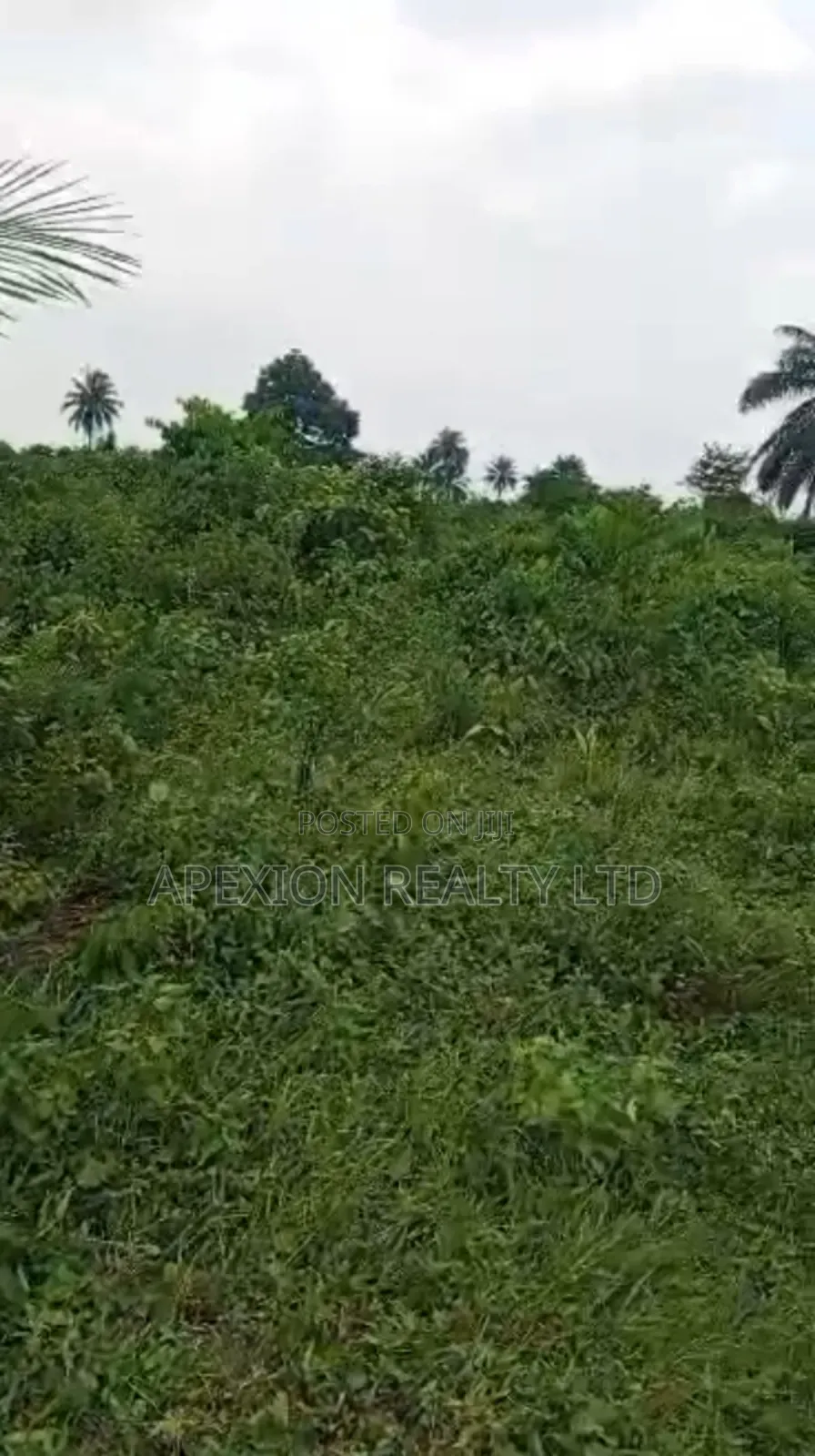 Land for Sale