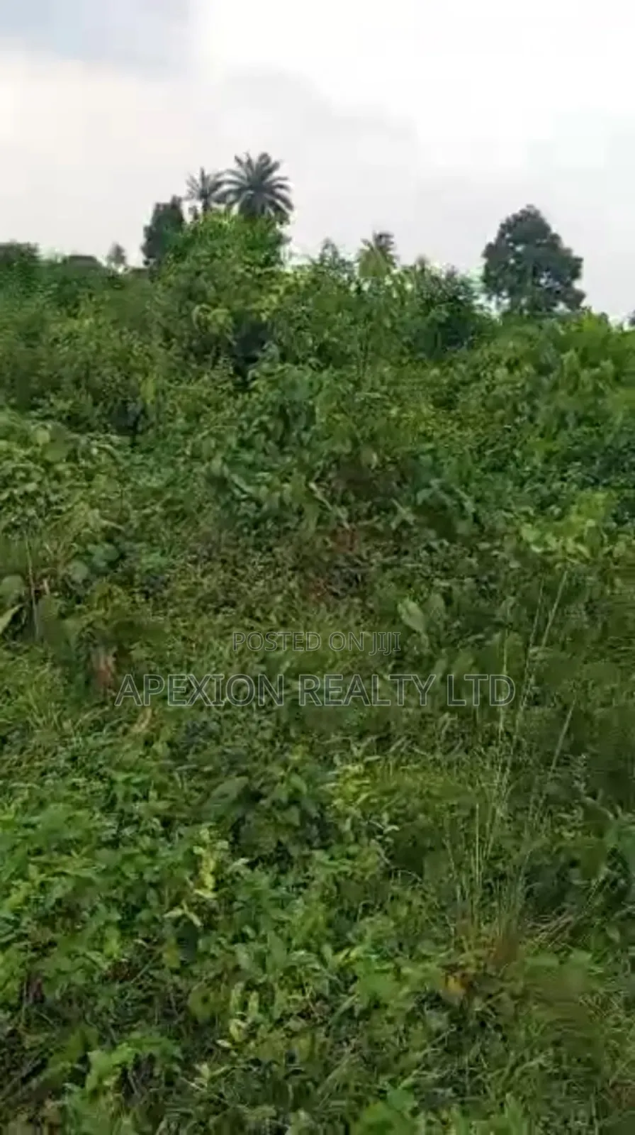 Land for Sale