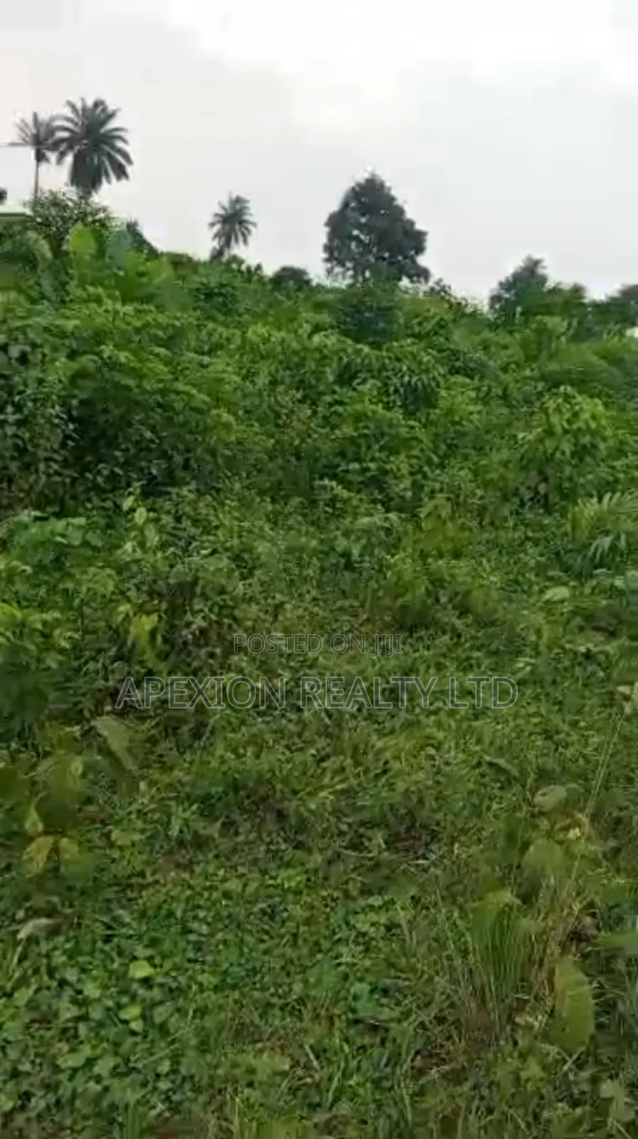 Land for Sale