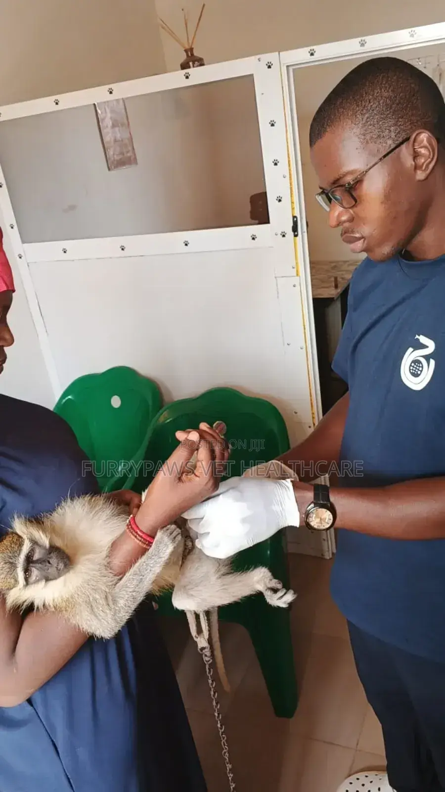 Furrypaws Veterinary Healthcare - Vet Clinic/Vet Doctor in Kabusa