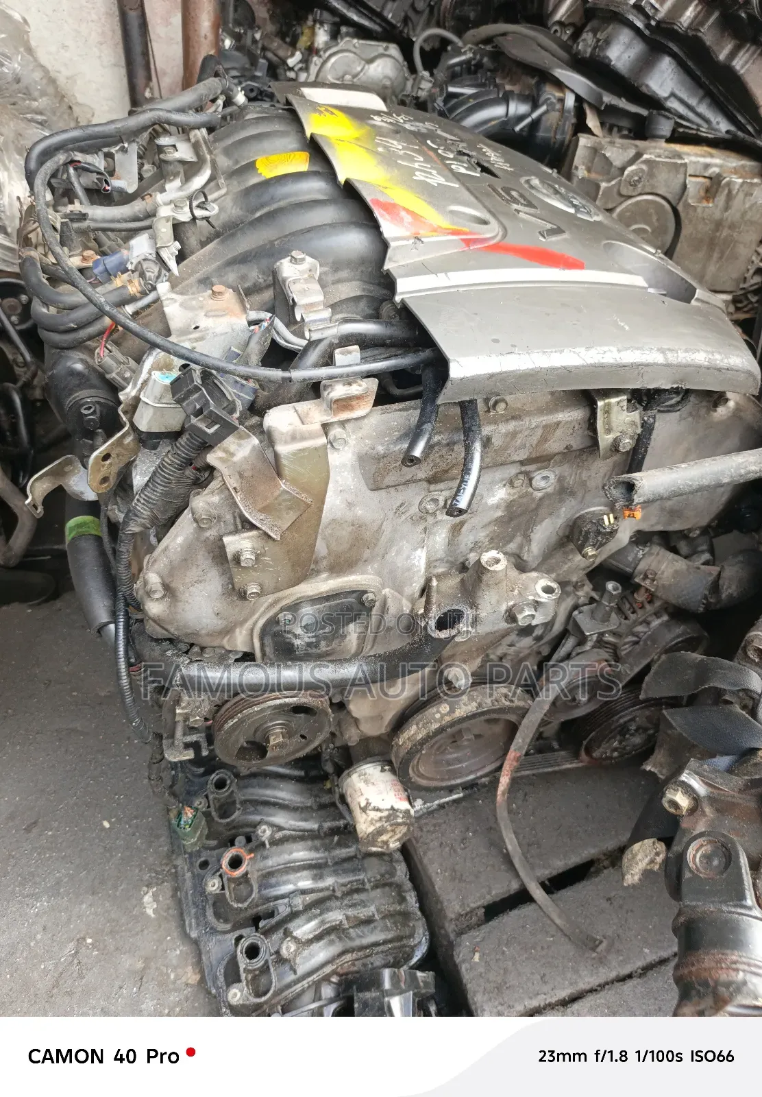 Infinity 3.3 And  Nissan Maxima 999/2000