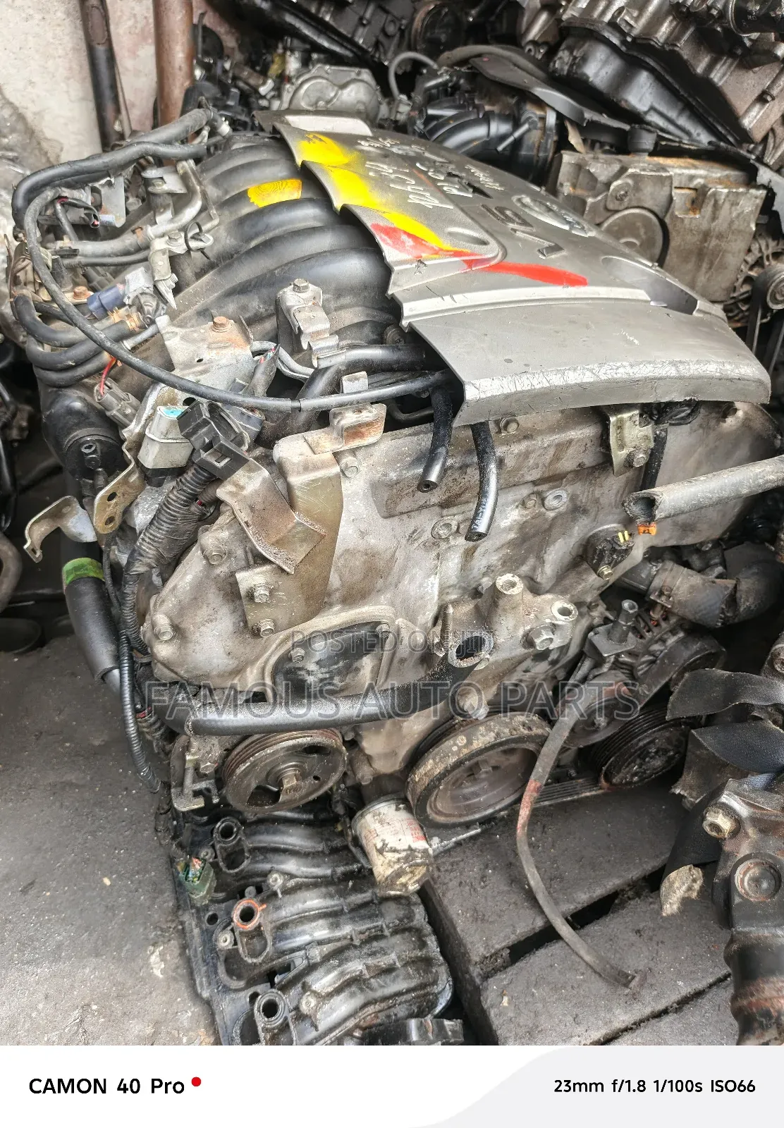 Infinity 3.3 And  Nissan Maxima 999/2000