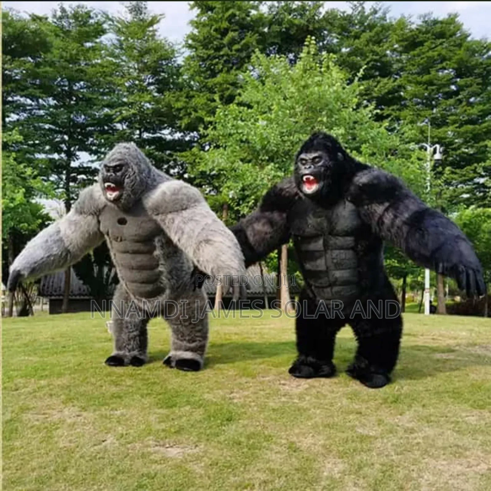 Gorilla Masquerade