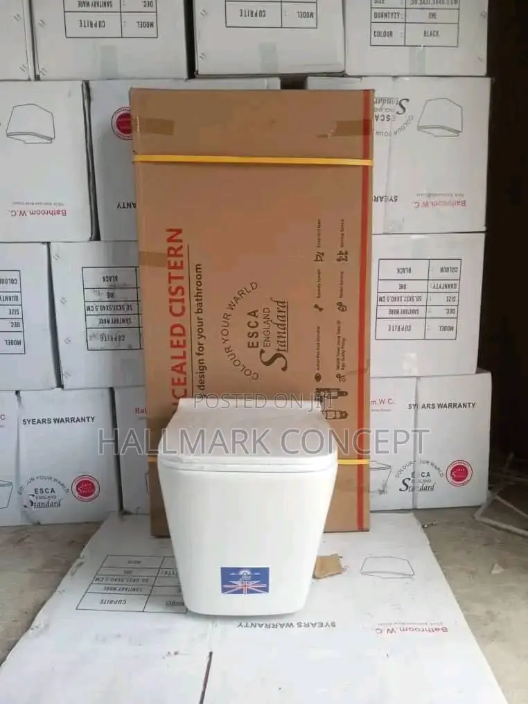 Concealed Water Closets Wall Hung