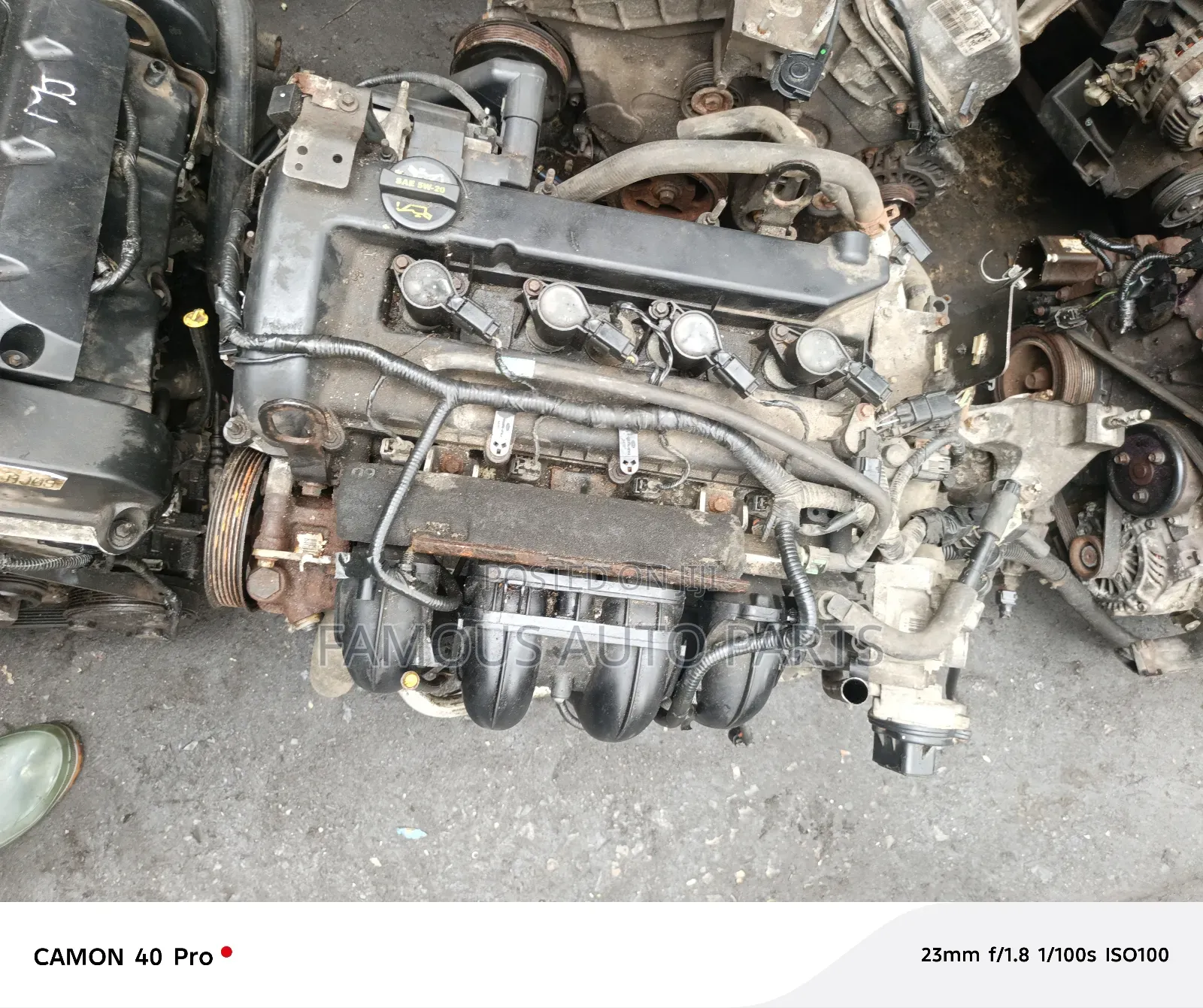 Ford Focus Engine 2004 And Transmission