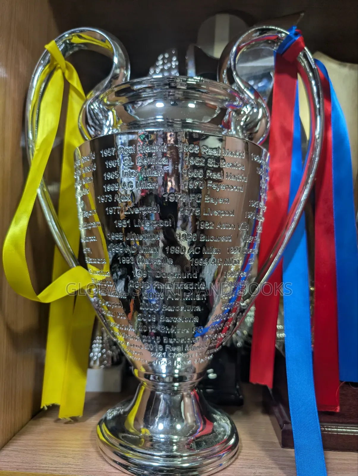European Cup Trophy 🏆