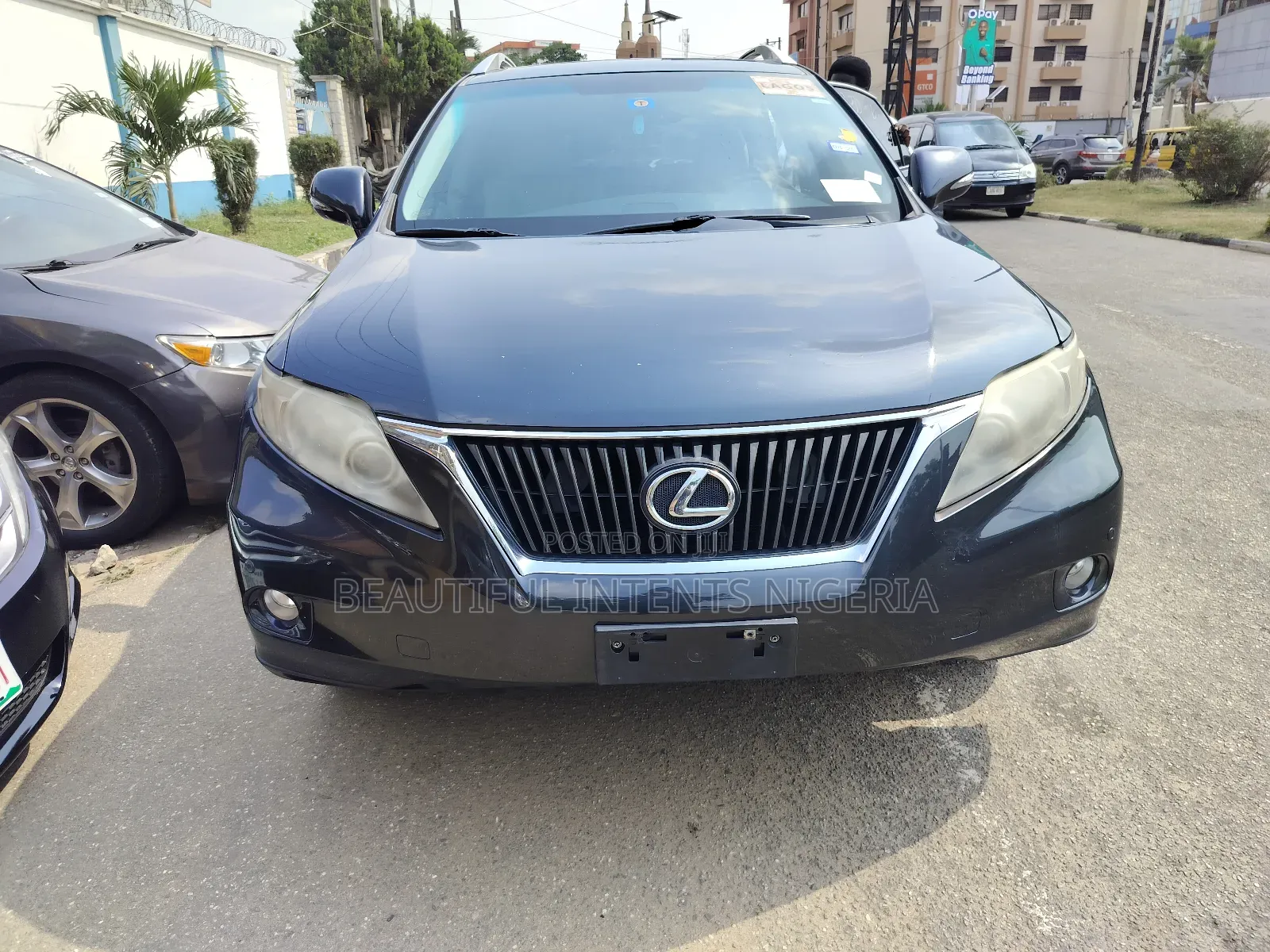 Lexus RX 350 2010 Gray