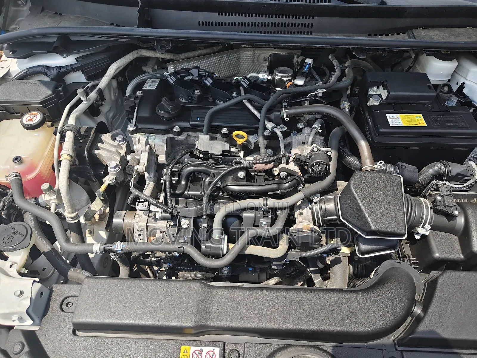 Toyota Corolla L 2022 White