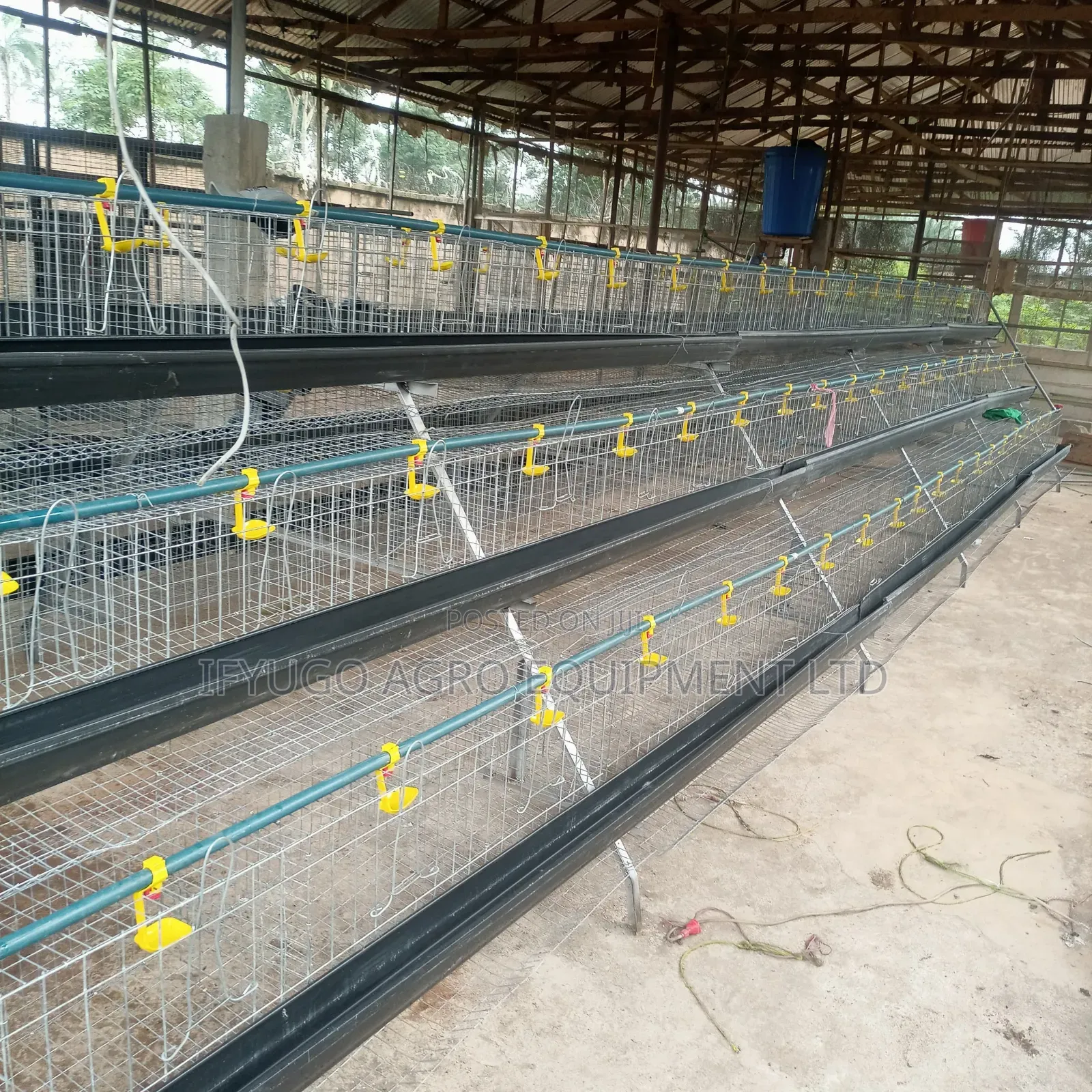 Local a Type Battery Cages