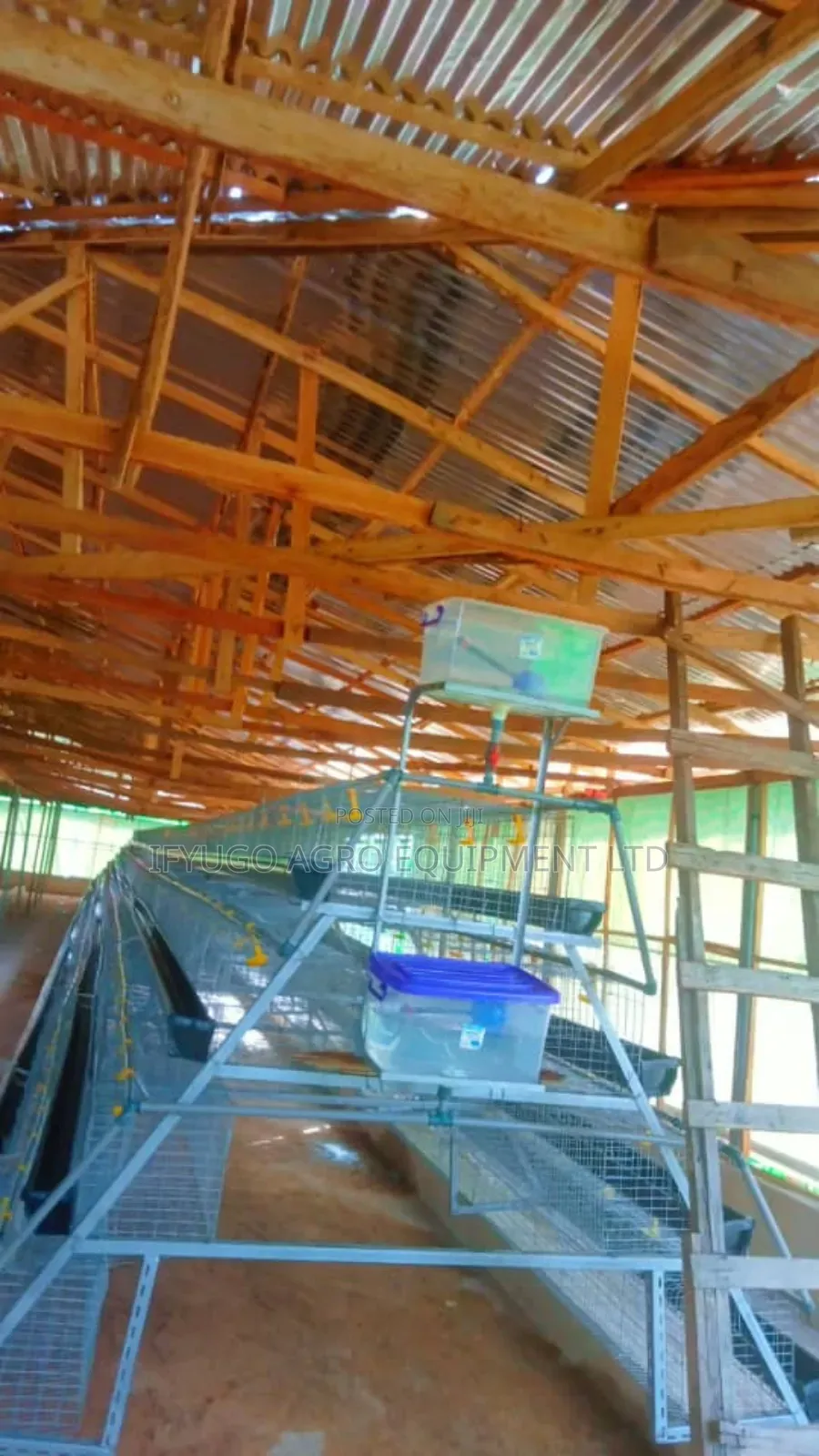 Local a Type Battery Cages