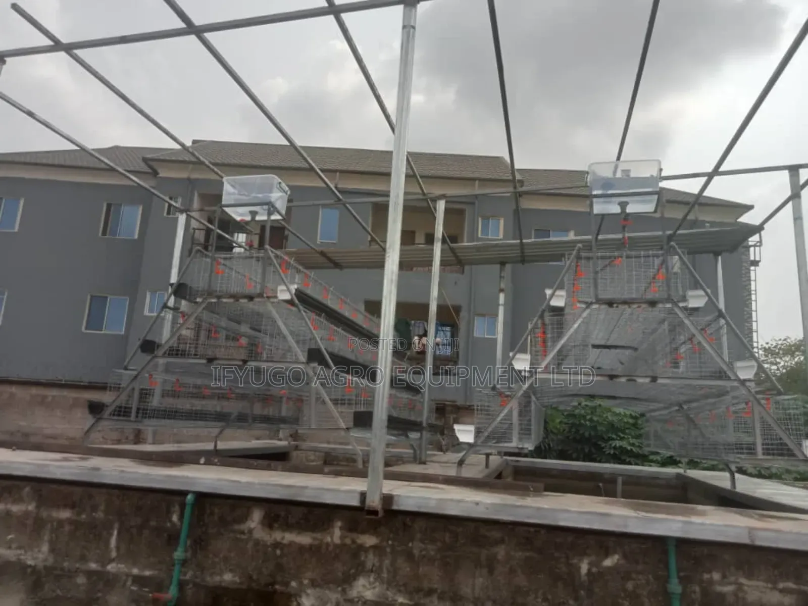 Local a Type Battery Cages