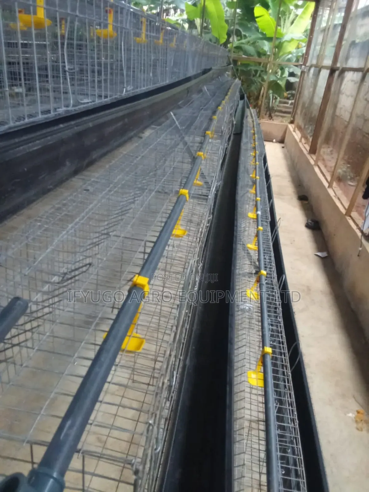 Local a Type Battery Cages