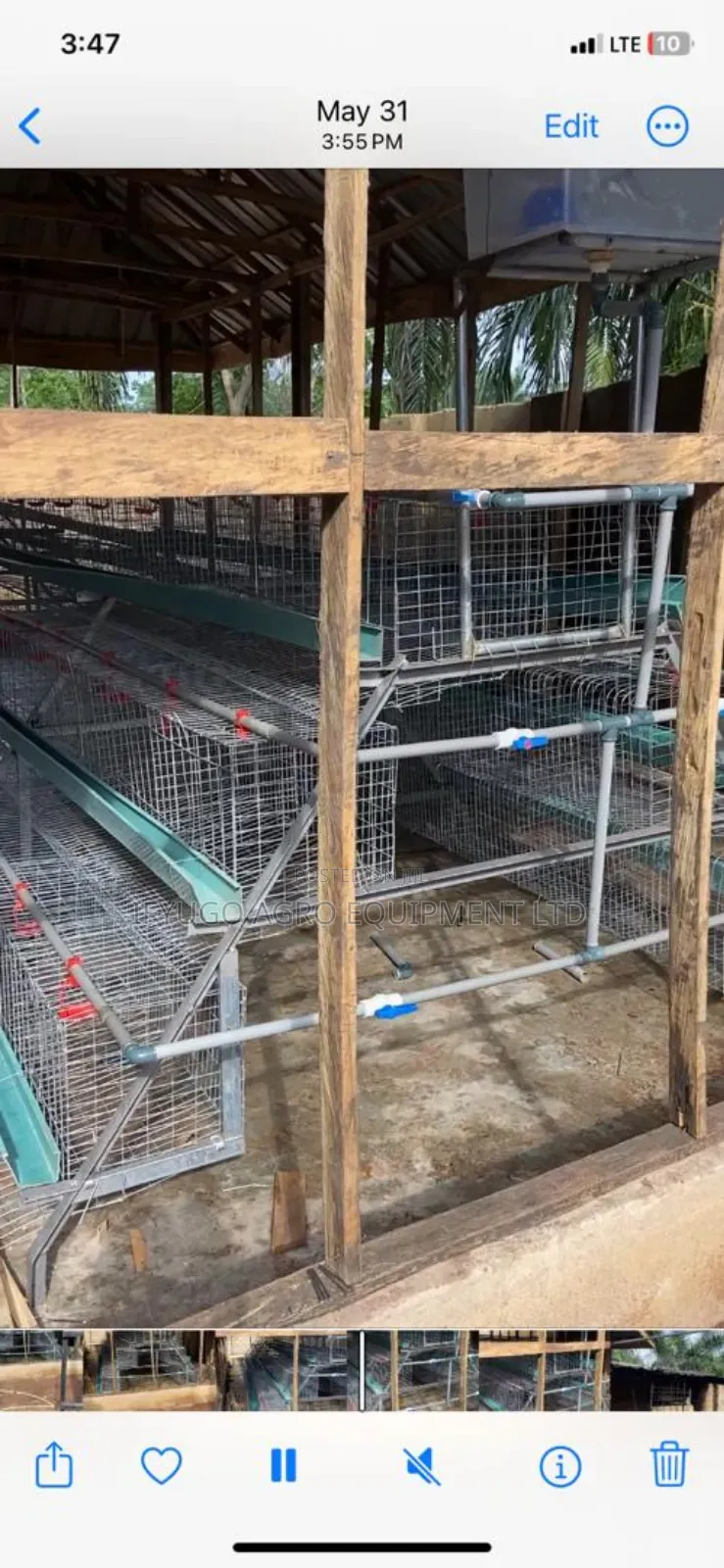 Foreign Cold Dipped Galvanized a Type 96 Birds Capacity Battery Cages