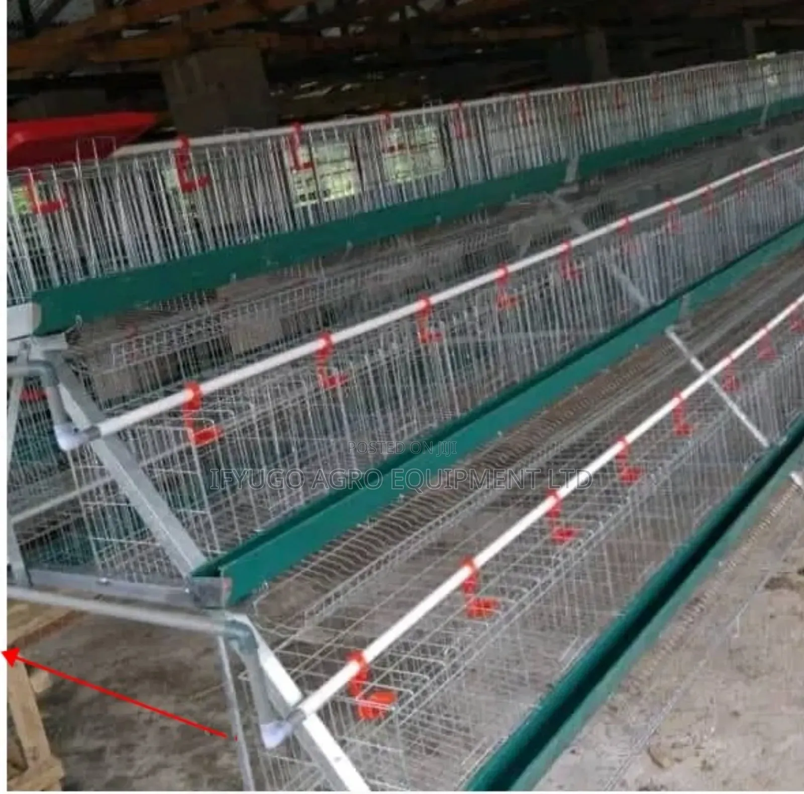 Foreign Cold Dipped Galvanized a Type 96 Birds Capacity Battery Cages
