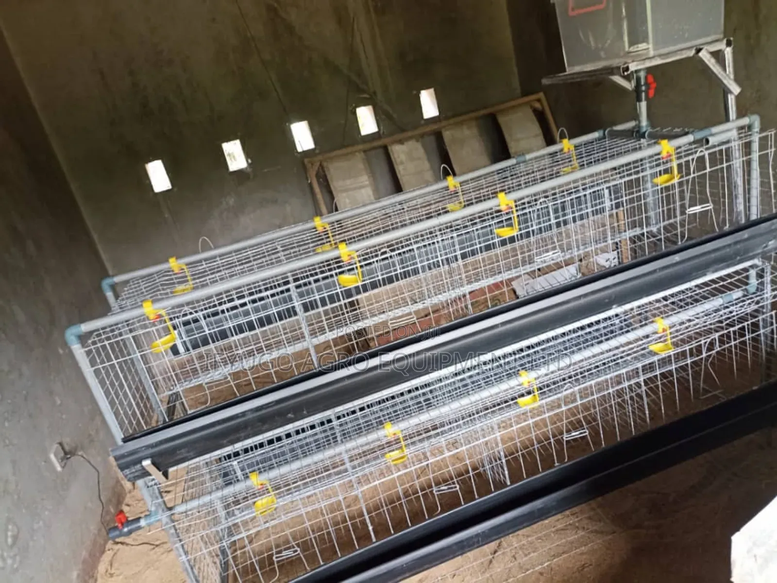 Local H Type Galvanized 96 Birds Capacity Battery Cages