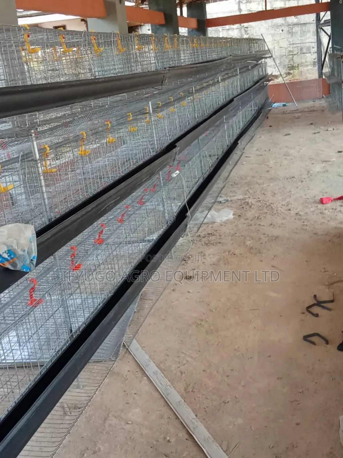 Local H Type Galvanized 96 Birds Capacity Battery Cages