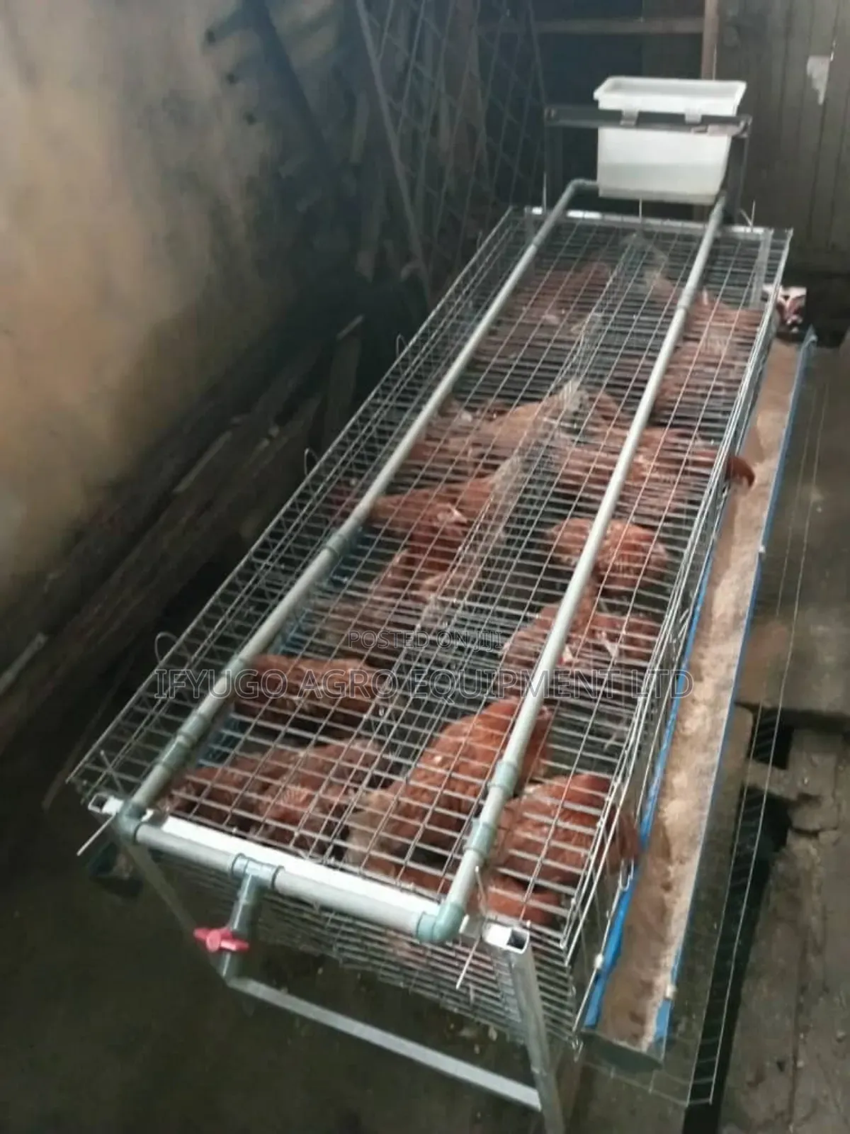 Local H Type Galvanized 96 Birds Capacity Battery Cages