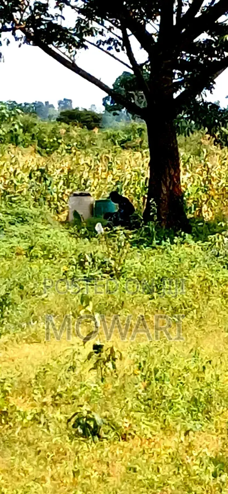 Land for Sale • Issele-Mkpetime • Near Asaba • Secure Docs