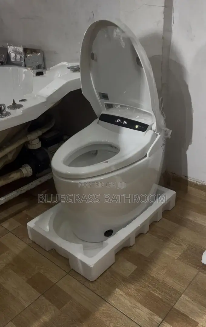 Sensor Water Closet