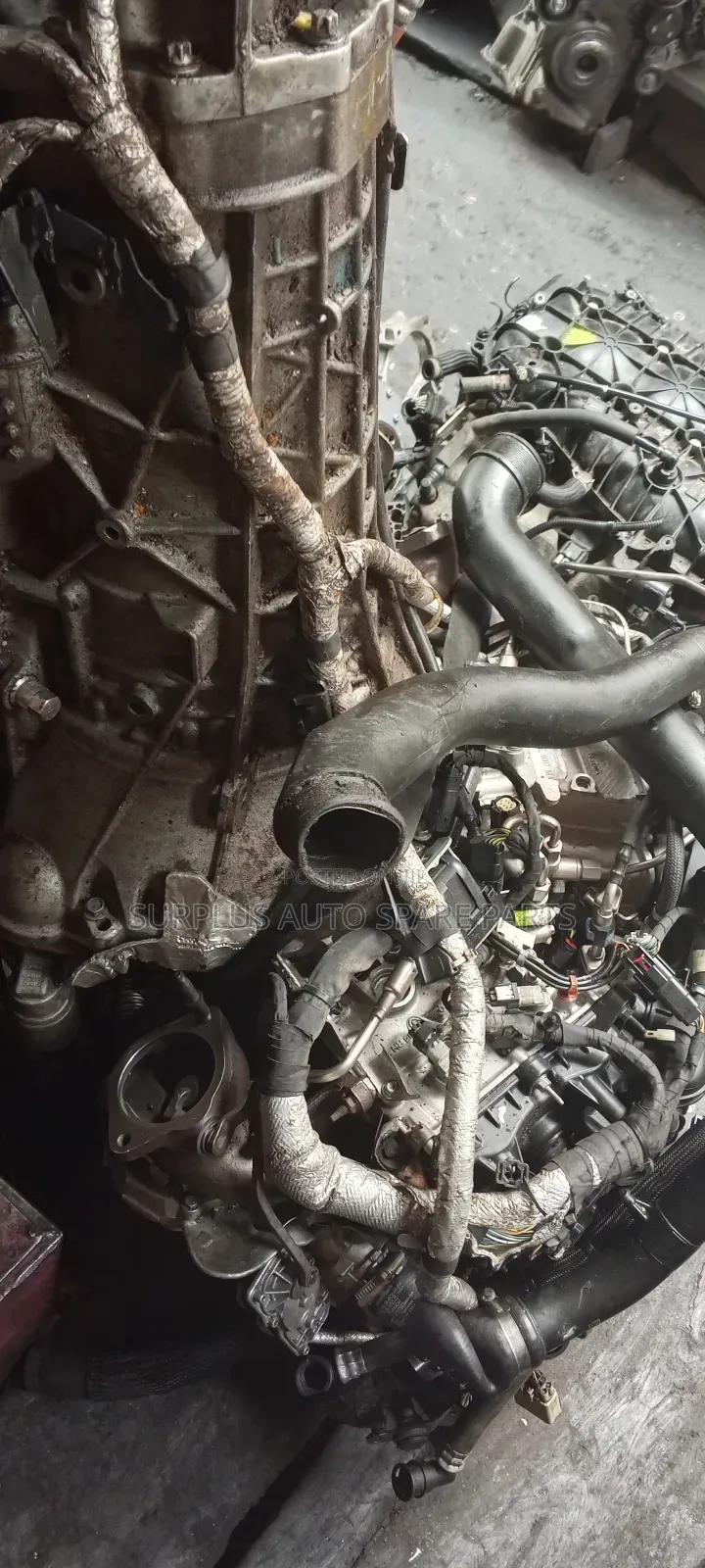 Engine and Gear for F-150 2024