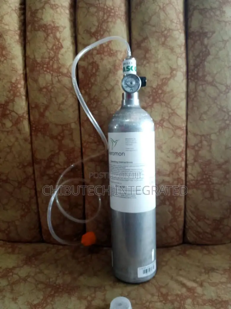 Portable Gas Calibration Cylinder Kit With Hose and Hood