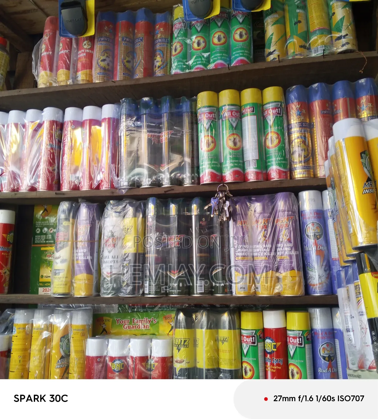 Insect and Reptile Killer Spray (Available Only in Liquid Spray/Flit)