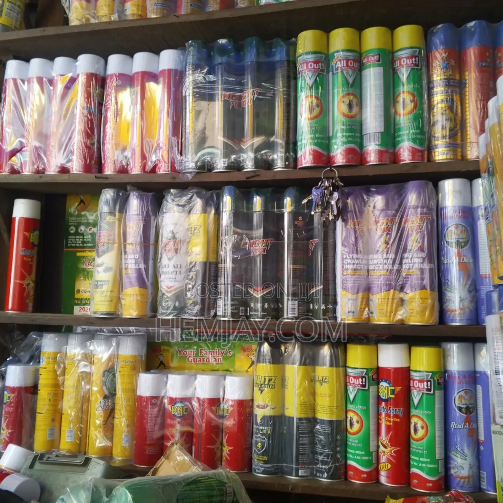 Insect and Reptile Killer Spray (Available Only in Liquid Spray/Flit)